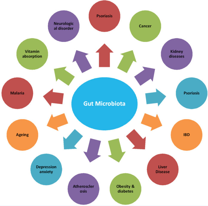 Gut Microbiota A Future Clinical Magic Bullet To Manifest Pathogenic