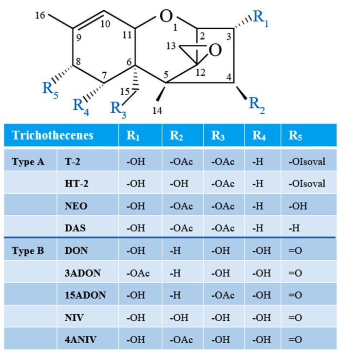 A PCR RFLP Analysis For The Diagnosis Of DAS And T 2 Genotypes In