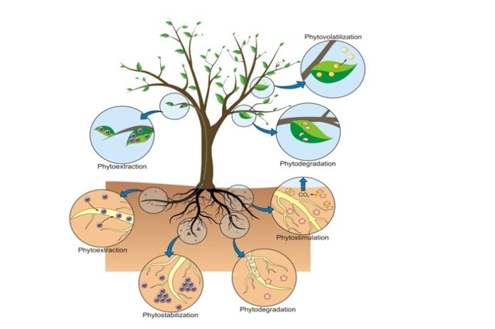 Floating Raft Wastewater Treatment System: A Review - Journal of Pure ...
