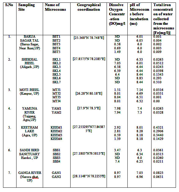 Isolation and Characterization of Magnetotactic Bacteria collected from ...