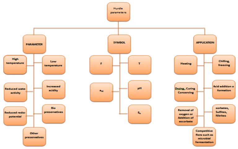 food-preservation-by-hurdle-technology-a-review-of-different-hurdle