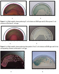 Comparative Evaluation of EMB Agar and Hicrome E. coli Agar for ...