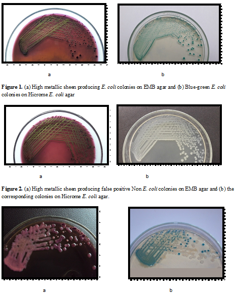 Comparative Evaluation Of Emb Agar And Hicrome E Coli Agar For Differentiation Of Green Metallic Sheen Producing Non E Coli And Typical E Coli Colonies From Food And Environmental Samples Journal