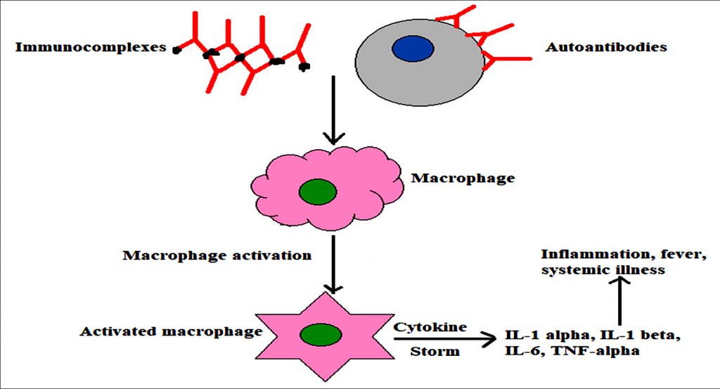 A Review On Macrophage Activation Syndrome Journal Of Pure And Applied Microbiology