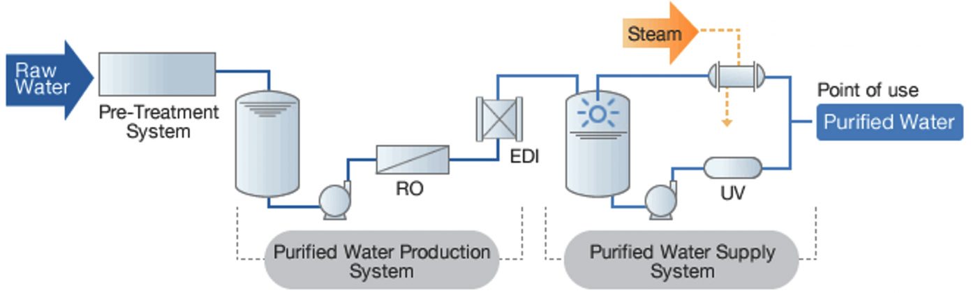 Identification And Molecular Characterization Of Microbial Isolates 