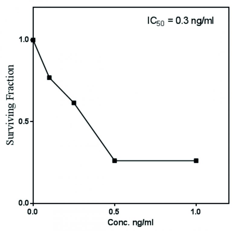 Production and Characterization of Taxol as Anticancer Agent from