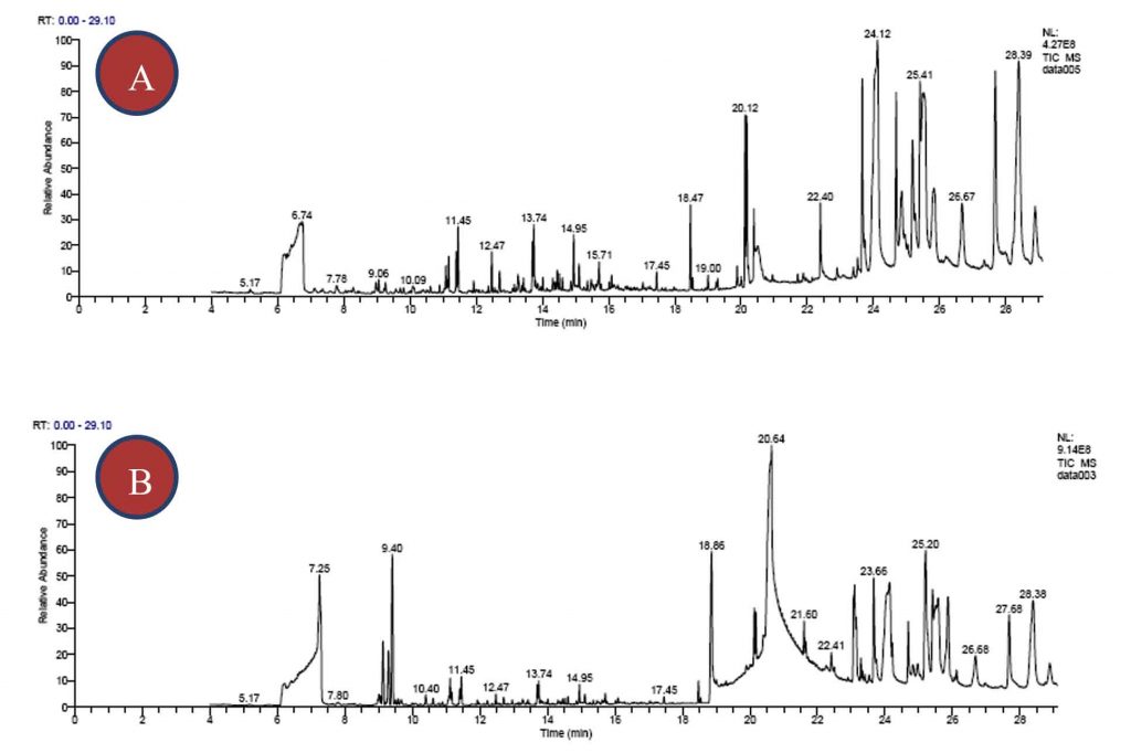 GC-MS Analysis of Commercially Available Allium sativum and Trigonella ...