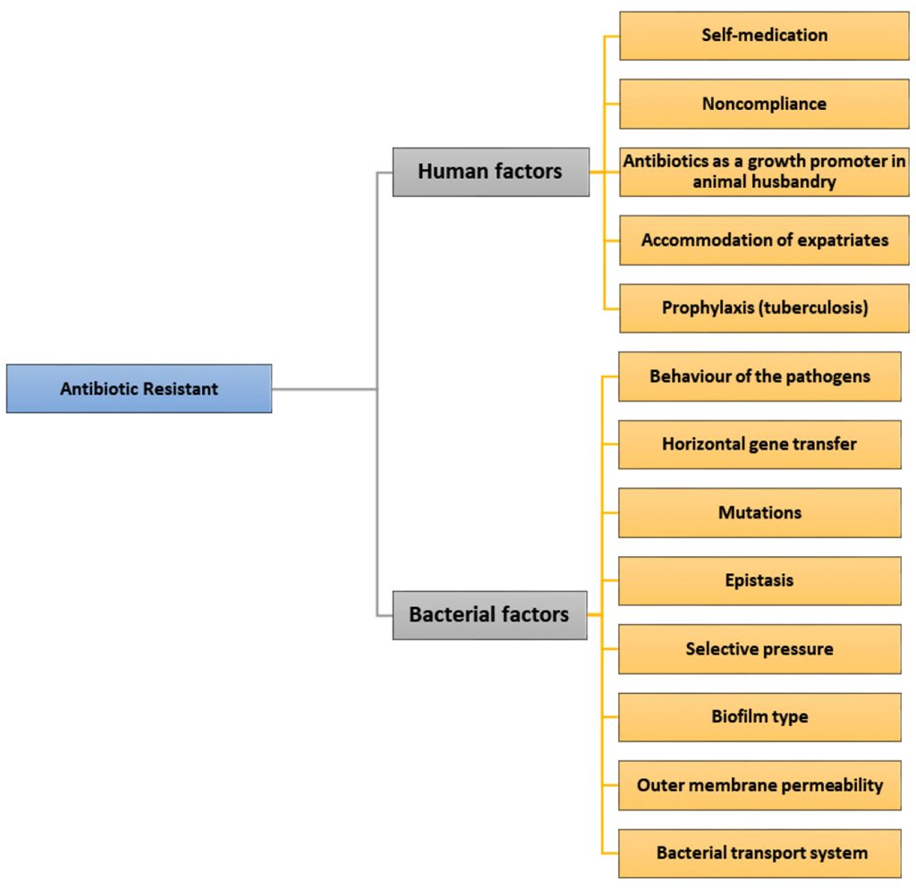 Antimicrobial Resistance Strategies: Are We Approaching the End ...