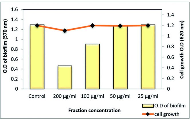 Evaluation of Antibacterial and Antibiofilm Activity of New ...