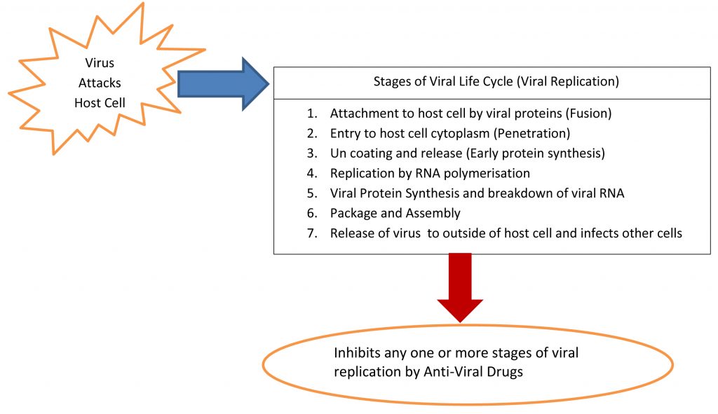 A Review of Potential Antiviral Drugs and Vaccines to Treat COVID-19 ...