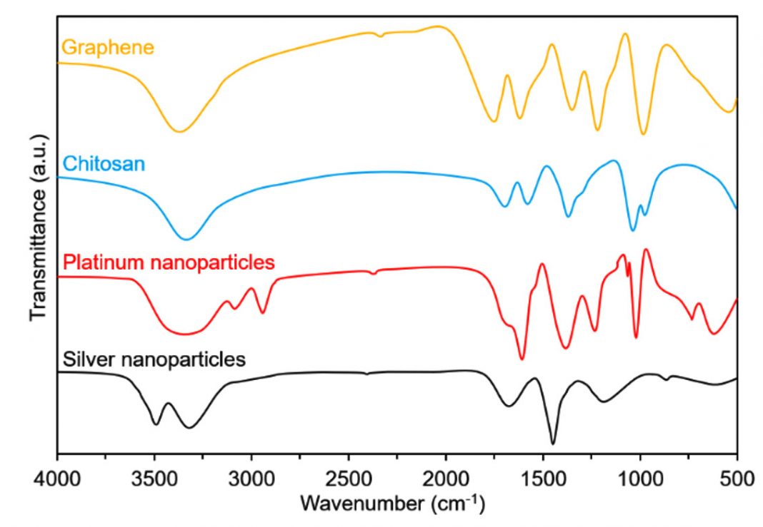 Development and Characterization of NanoparticlesLoaded for Biomedical Settings