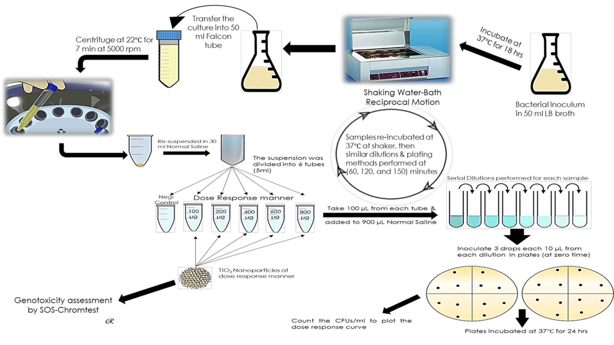 Titanium Oxide (TiO2) Nanoparticles for Treatment of Wound Infection ...