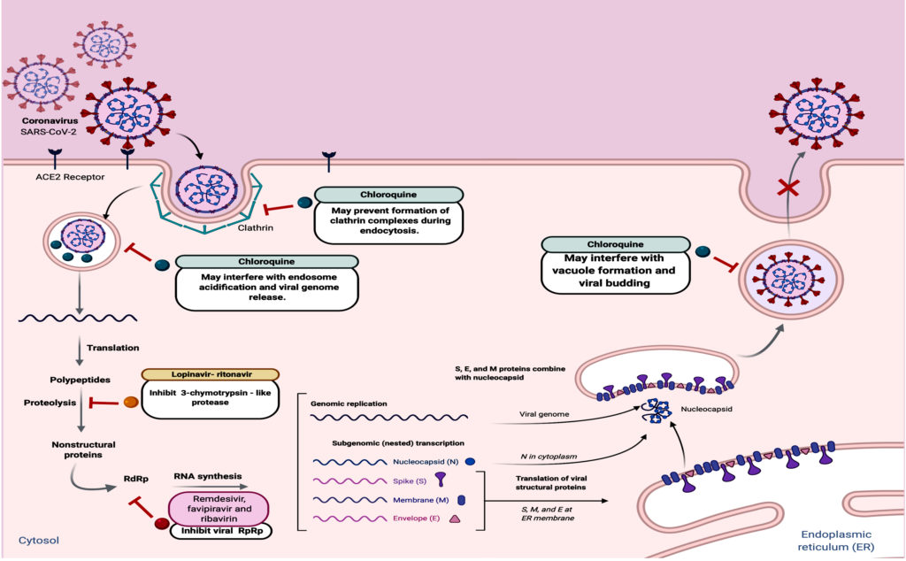 Covid-19 And Diabetes Mellitus: A Complex Interplay - Journal Of Pure 