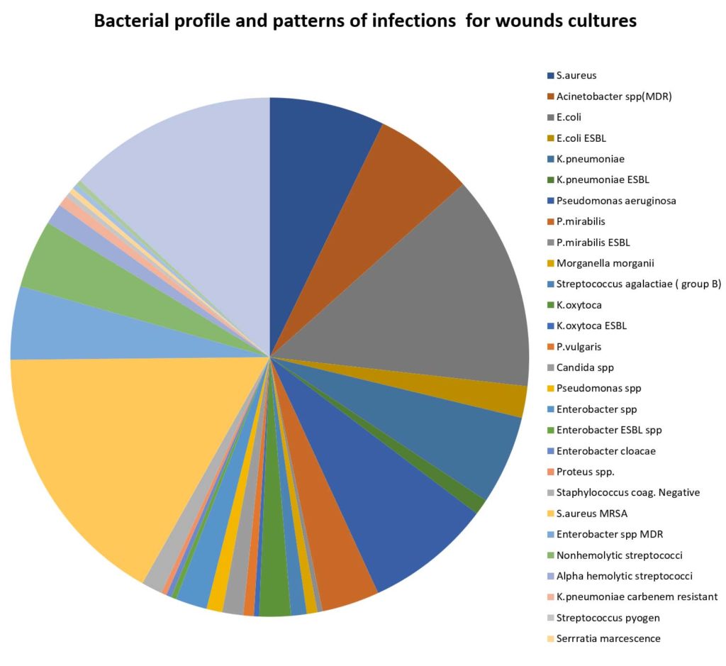 Multidrug-resistant Bacterial Profile and Patterns for Wound Infections ...