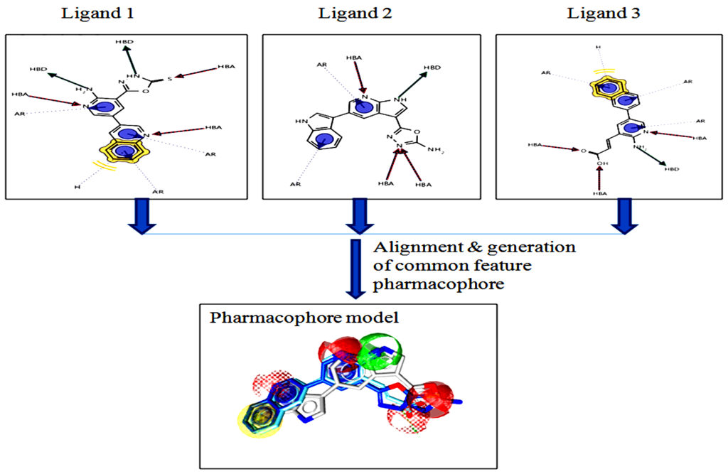 Computational Drug Repurposing Resources and Approaches for Discovering ...