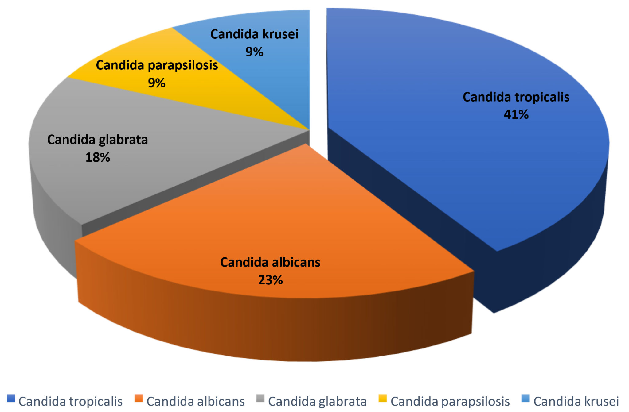 a-study-on-prevalence-and-characterization-of-candida-species-in