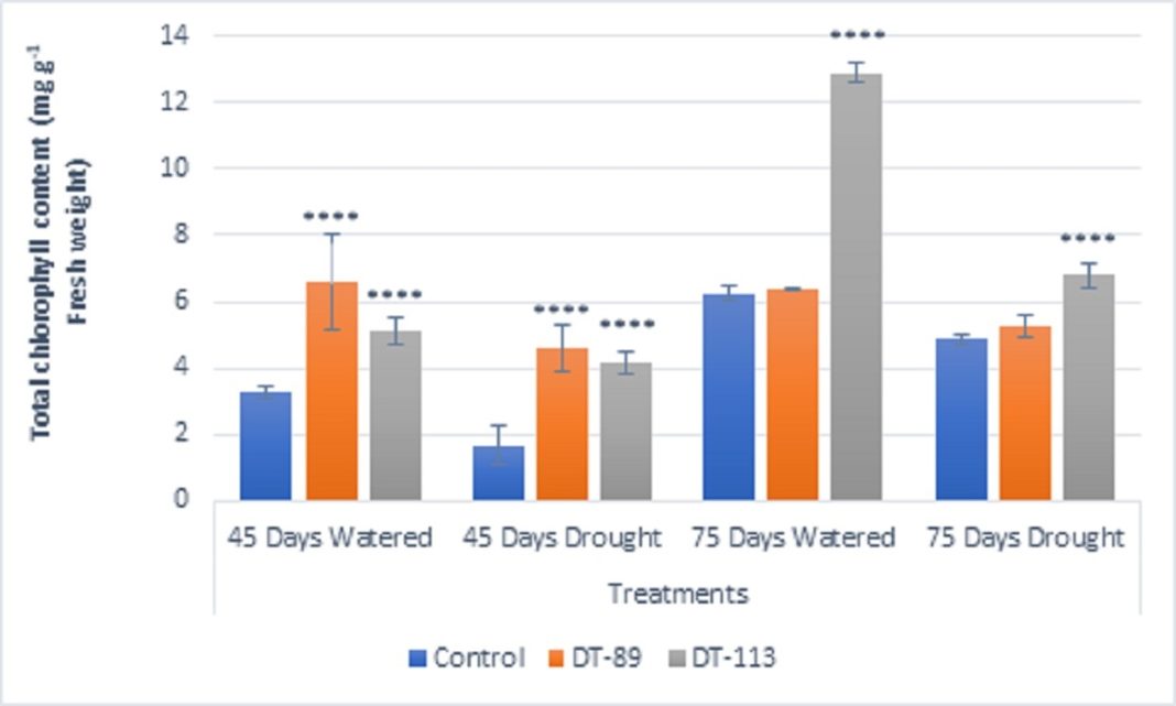 Modulation in Plant Growth and Drought Tolerance of Wheat Crop upon ...