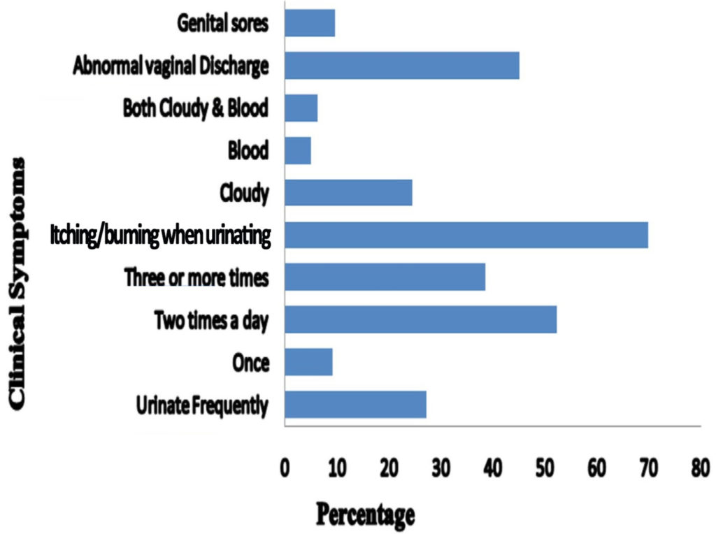 Antibiotic Resistance Pattern Of Uropathogens Among Non Pregnant Women   Fg02 1 1024x764 