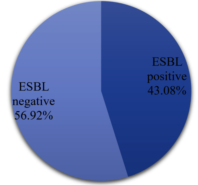 Prevalence Of ESBL Producing Bacteria In Community Acquired UTI From   Fg05 2 696x652 