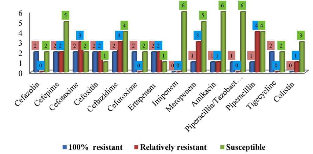 Incidence And Susceptibility Patterns Of Urine Bacterial Flora In Young   Fg01 14 1024x505 