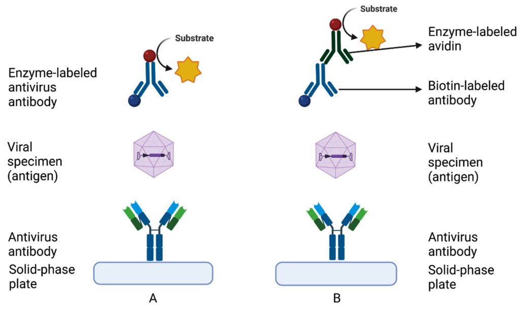 An Overview of Laboratory Diagnosis of Central Nervous System Viral ...