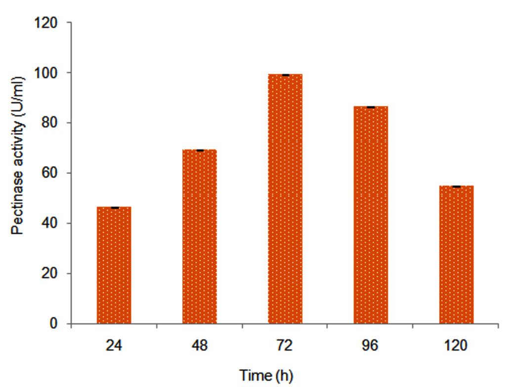 Pectinase Production by Aspergillus niger and Its Applications in Fruit
