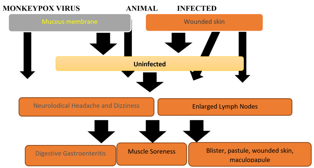 Human-to-Human Transmission of Monkeypox Virus Old Virus with a New ...