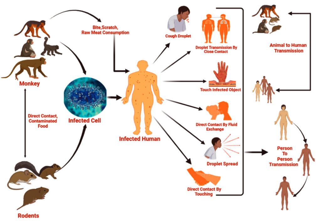 Old Enemy with a New Face: Re-emerging Monkeypox Disease – An Update ...