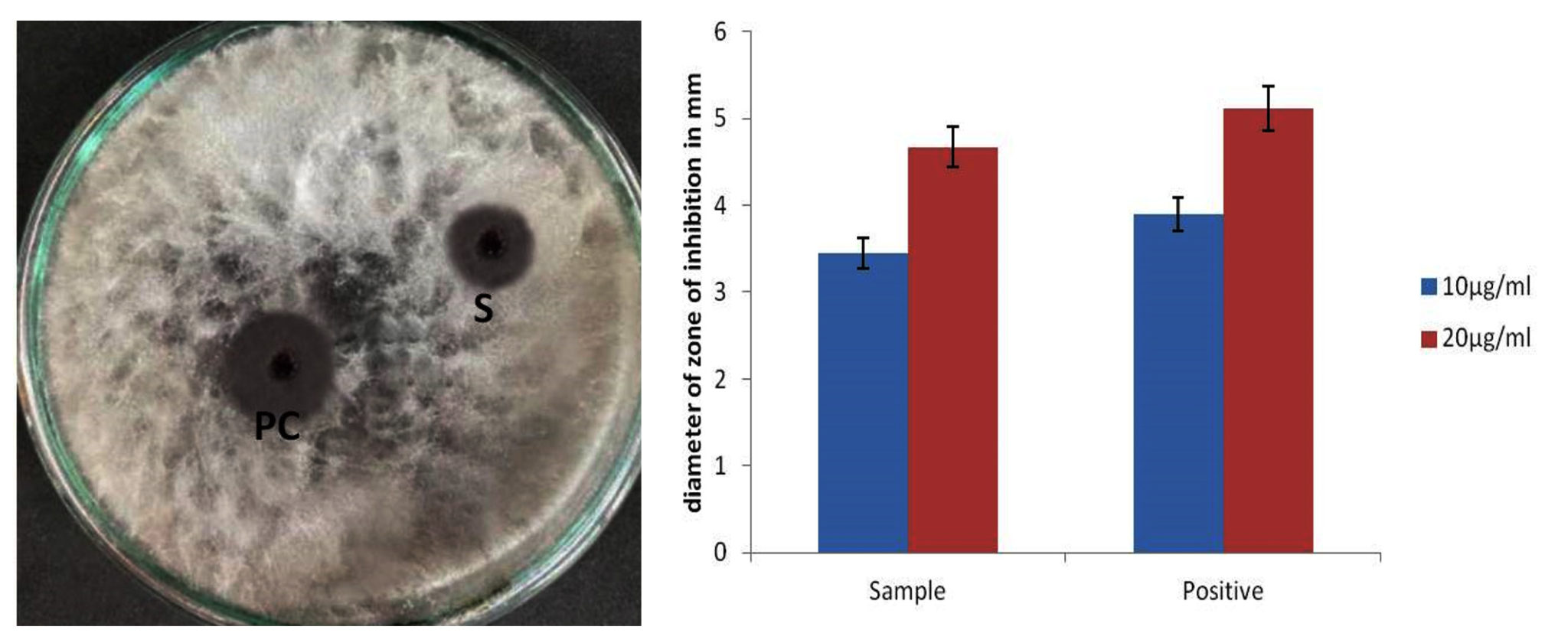 Green Synthesis of Copper Nanoparticles and their Activity against