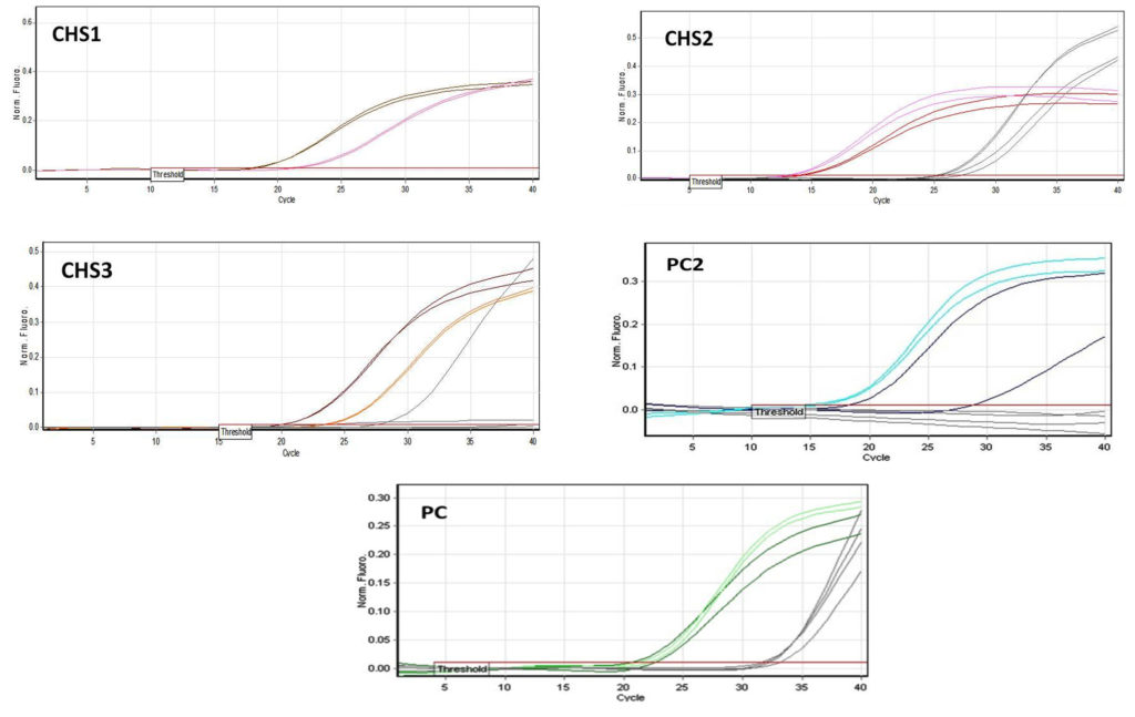 Green Synthesis of Copper Nanoparticles and their Activity against