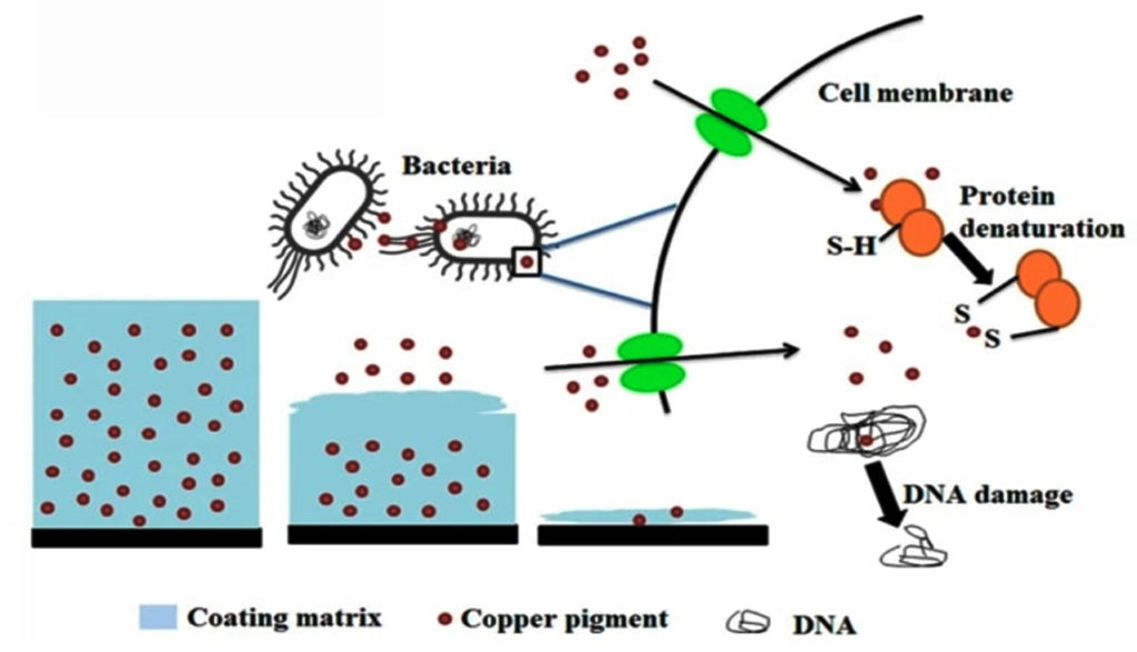 Bioprospecting and Exploration of the Natural Antifouling Approaches ...