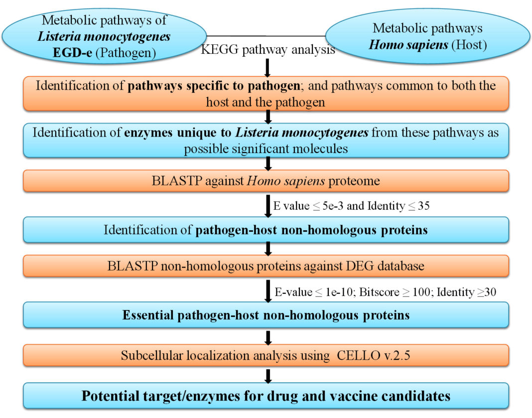 Drug Target Identification for Listeria monocytogenes by Subtractive ...