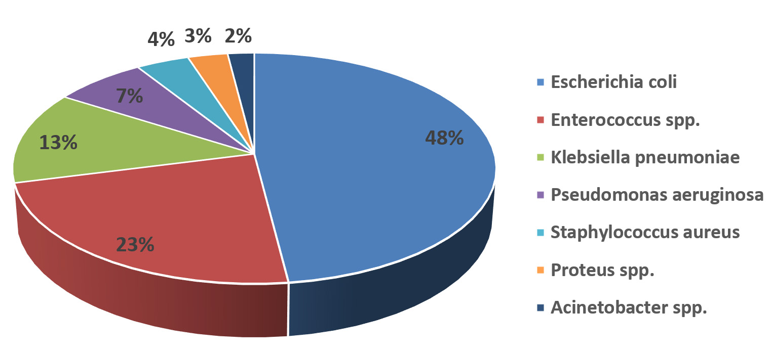 Microbial Etiology and Resistance Patterns of Urinary Tract Infection ...