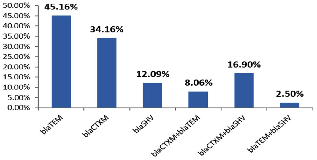 Genomic Determinants and Antimicrobial Resistance Pattern of Clinical ...