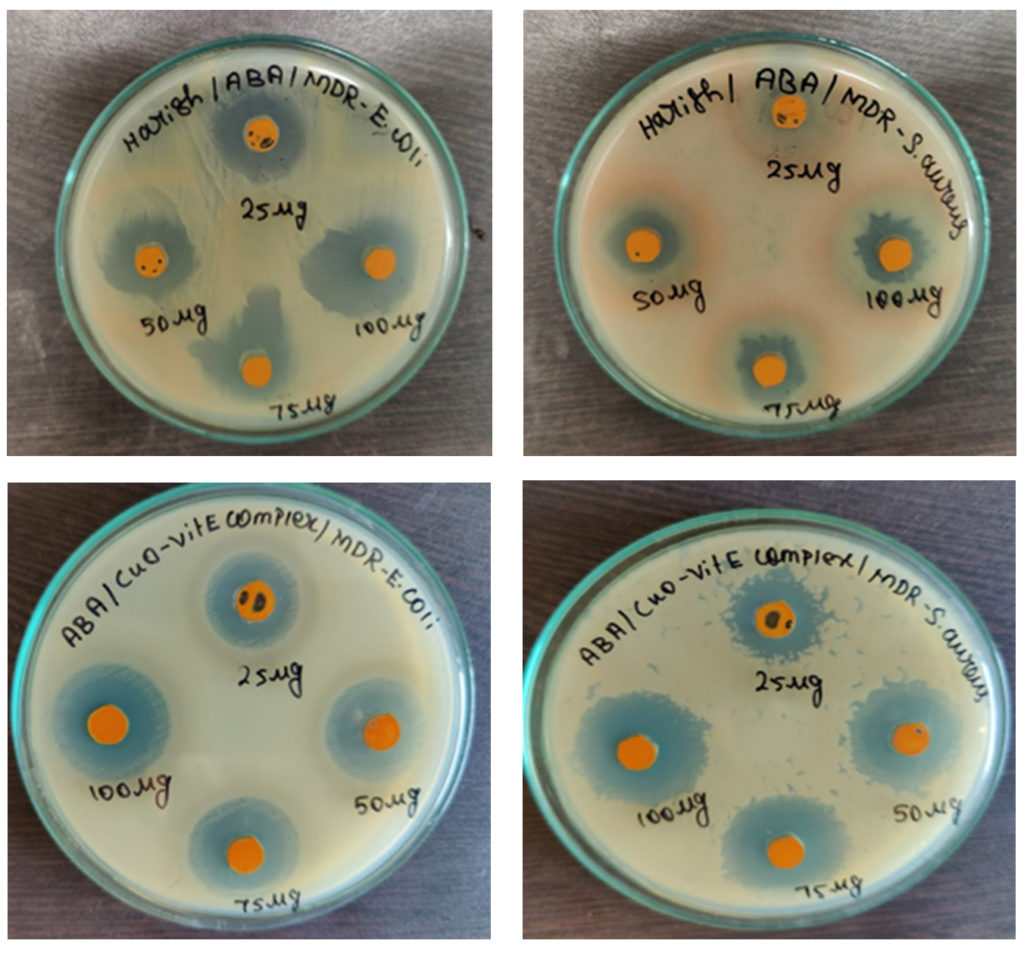 Evaluating the Antibacterial Profile of Copper Oxide Nanoparticles ...