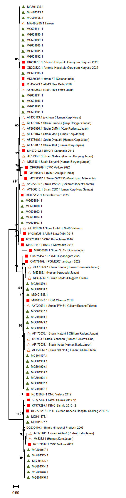 Application of Nested PCR and Loop-Mediated Isothermal Amplification ...