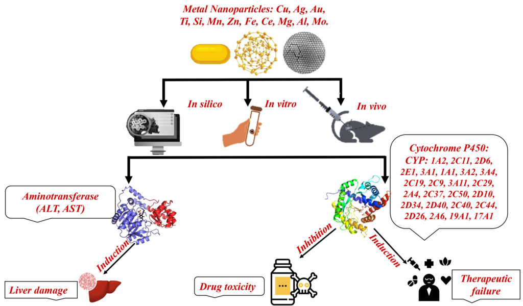 The Interactions between Metallic Nanoparticles and Cytochrome P450