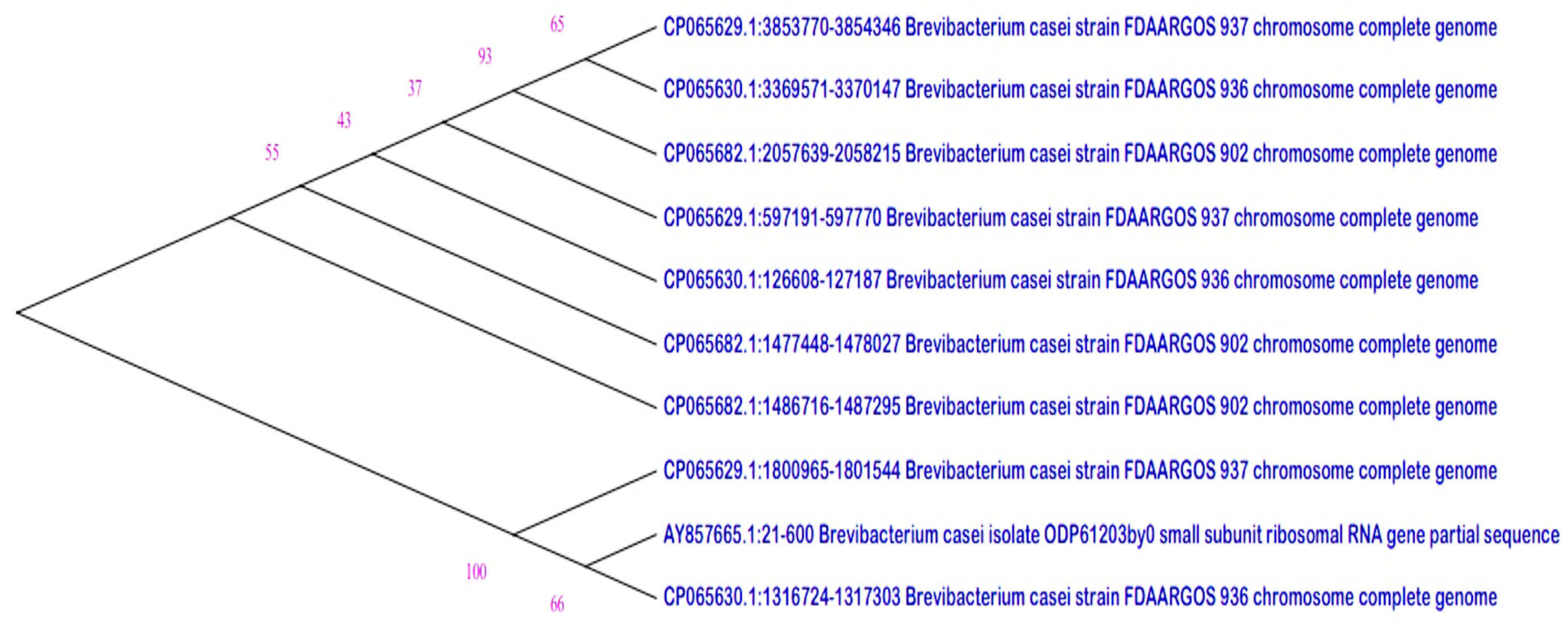 Sustainable Synthesis Of Biopolymer Polyhydroxybutyrate (phb) From Agro 