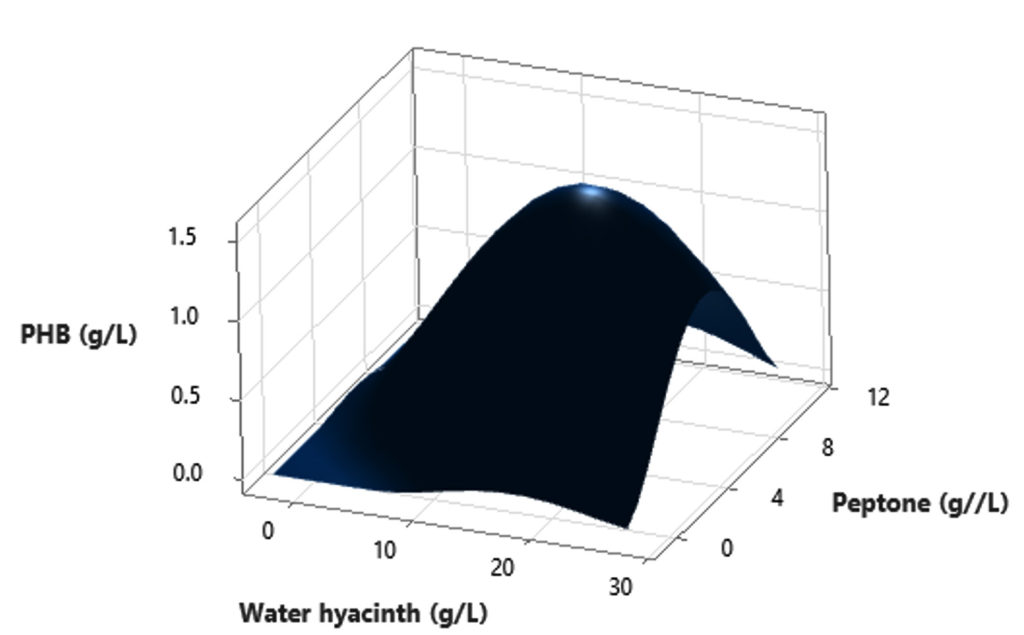 Sustainable Synthesis Of Biopolymer Polyhydroxybutyrate (phb) From Agro 