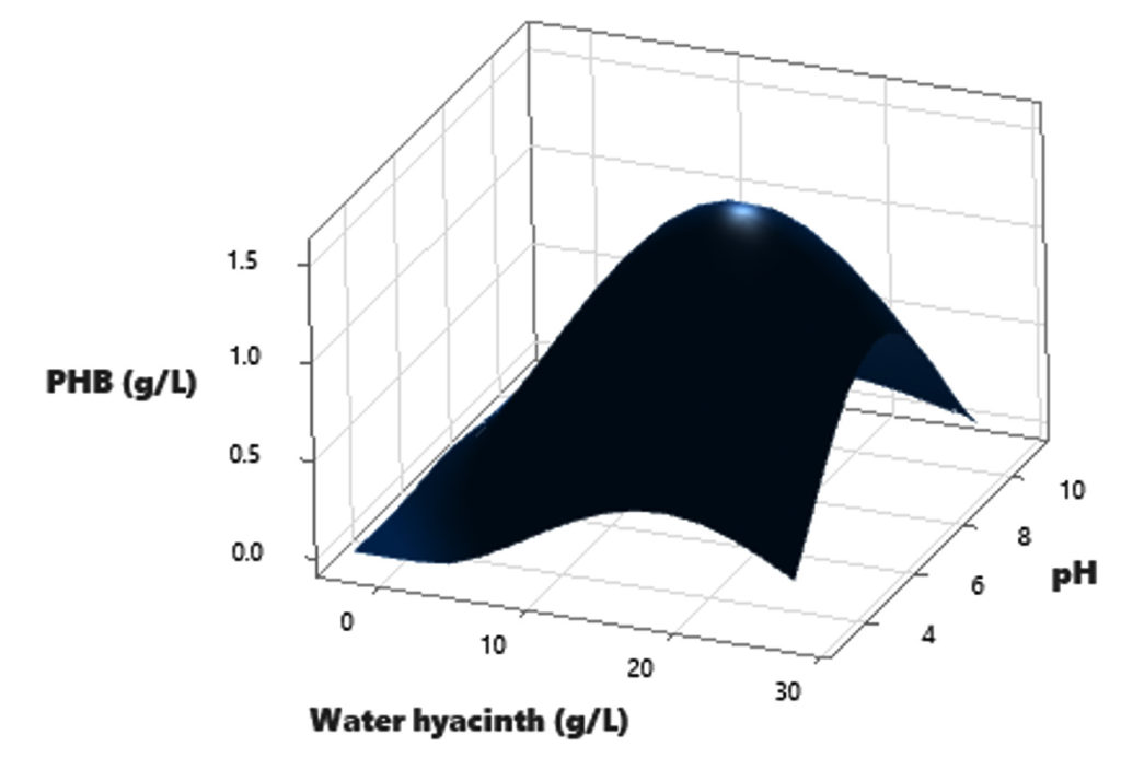 Sustainable Synthesis of Biopolymer Polyhydroxybutyrate (PHB) from Agro ...