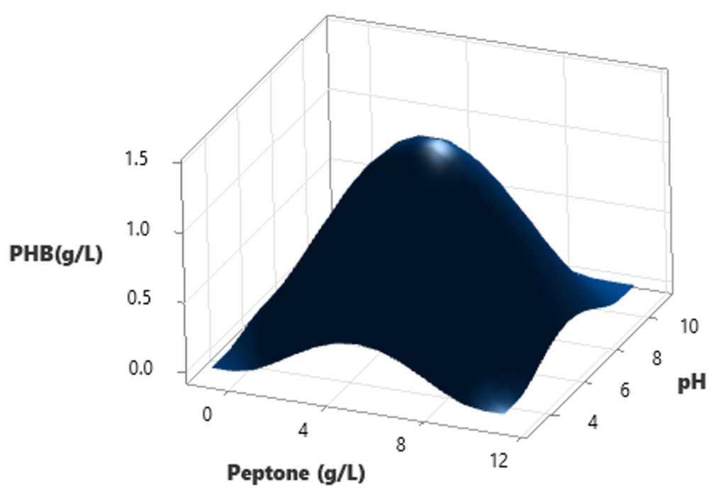 Sustainable Synthesis of Biopolymer Polyhydroxybutyrate (PHB) from Agro ...