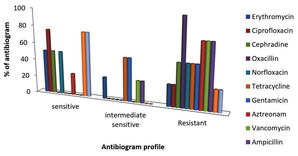 Microbial Profile and Antibiotic Susceptibility Pattern of Frozen Food ...