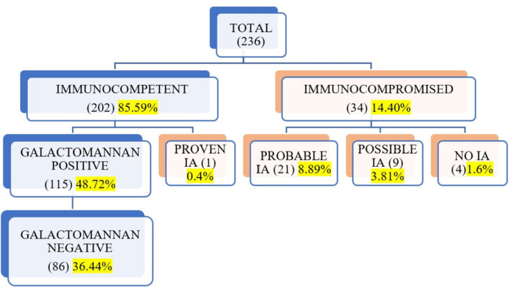 Galactomannan Antigen Assay for the Diagnosis of Invasive Aspergillosis ...