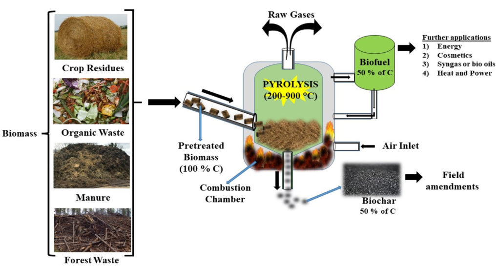 Biochar: A Comprehensive Review on a Natural Approach to Plant Disease ...