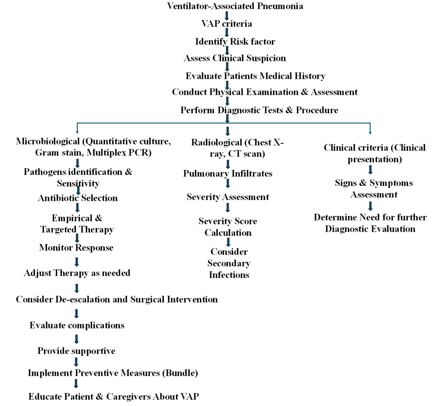 Pathogenesis, Diagnosis and Therapeutic Strategies for Ventilator ...