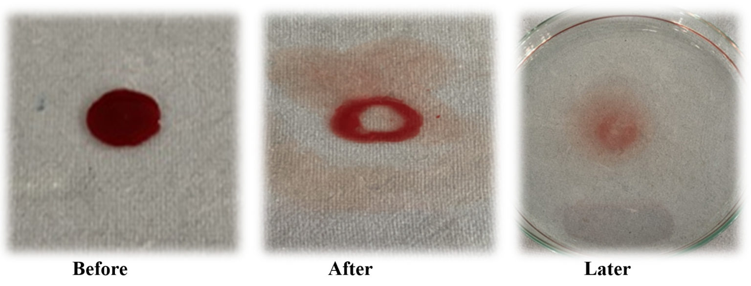Screening and Characterization of Biosurfactant-producing Strains in ...