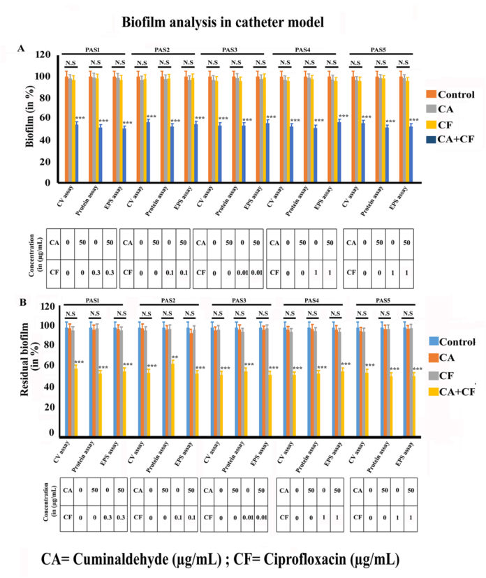 Cuminaldehyde in Combination with Ciprofloxacin Shows Antibiofilm ...