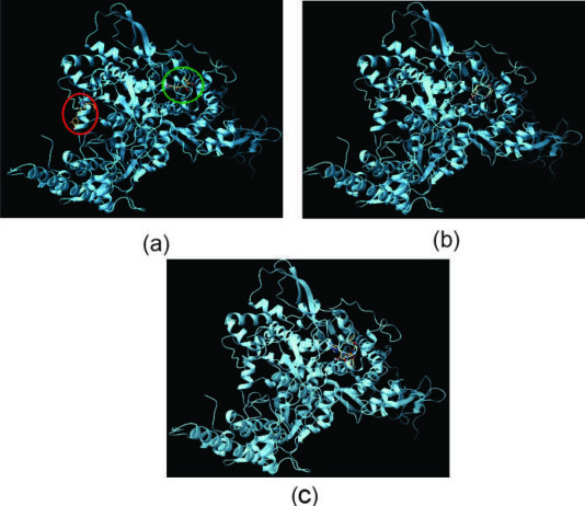 In silico Molecular Docking Analysis Reveals Successful Protein Ligand ...