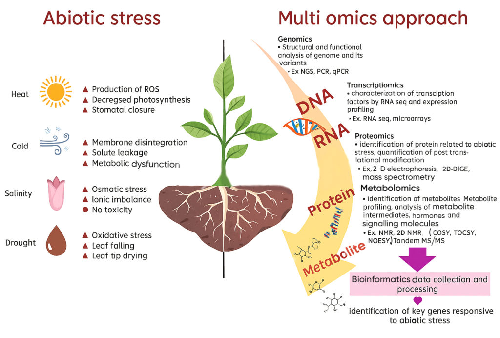 Omics in Plant Science for Improved Stress Tolerance – Journal of Pure ...