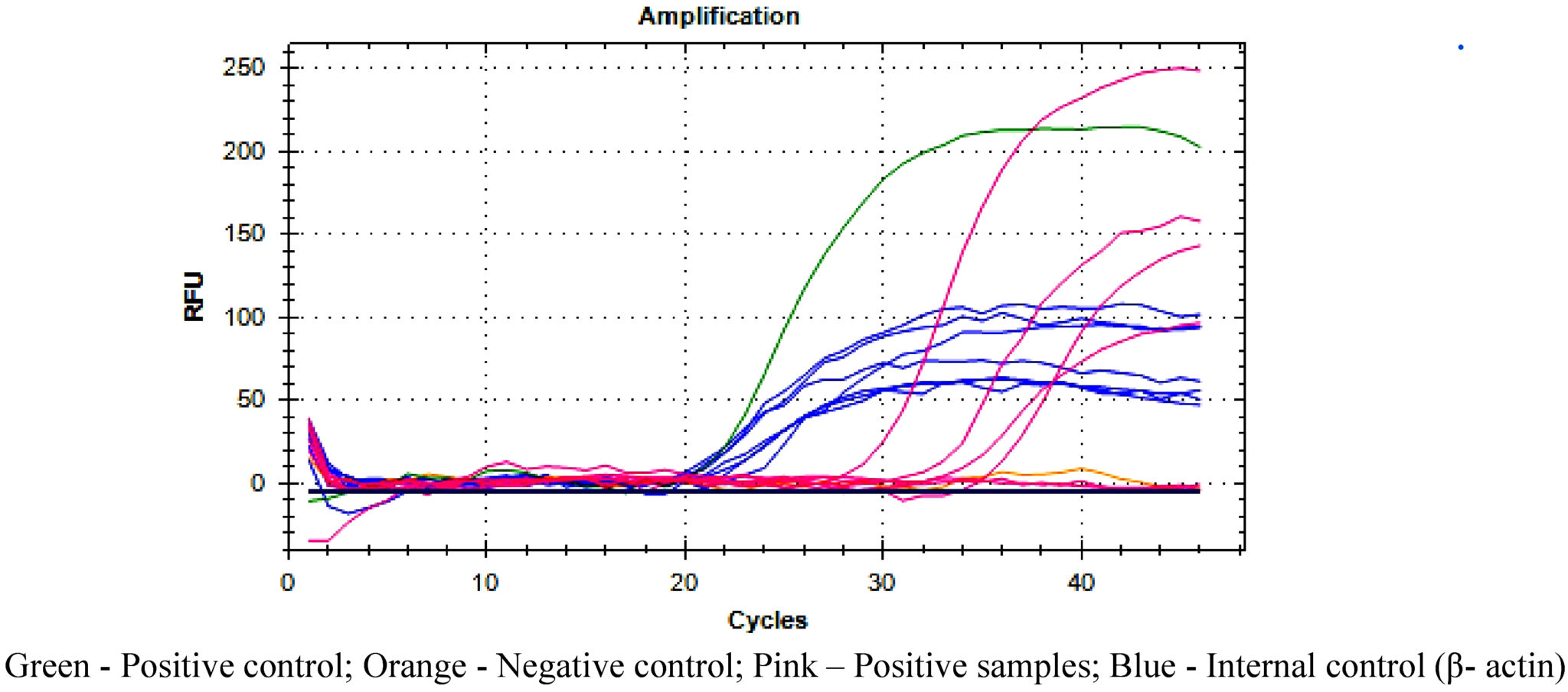 Scrub Typhus Diagnosis by Enzyme Linked Immunosorbent Assay (ELISA), Indirect Immunofluorescence ...